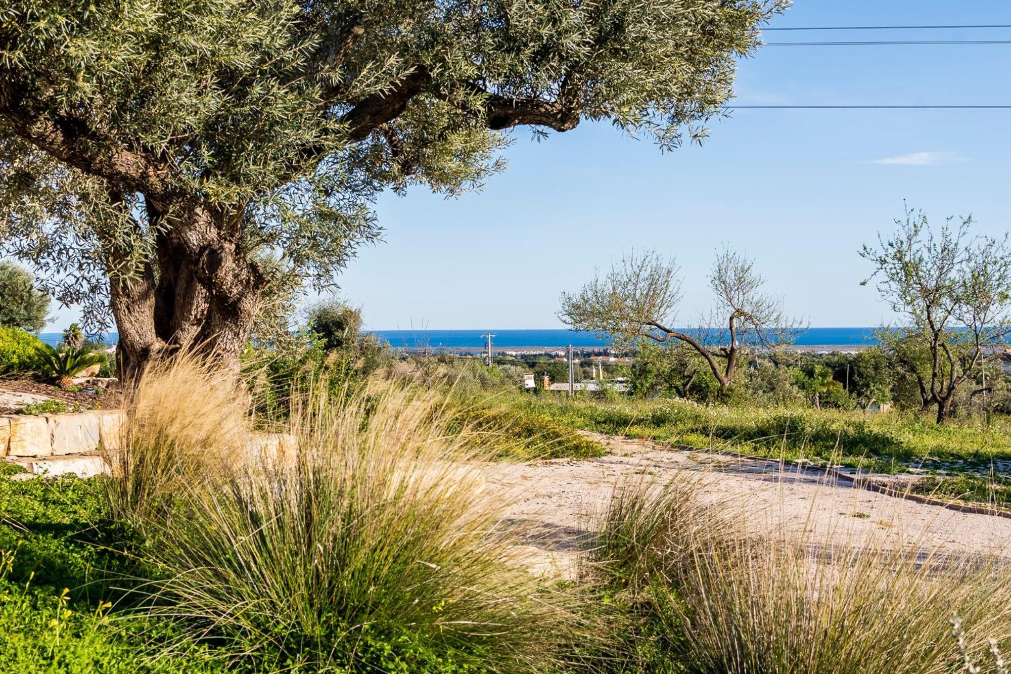 Quinta Da Baleeira Villa Tavira Exterior photo